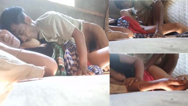 Desi Bhabhi Having Sex With Her Boyfriend At Home MMS Video