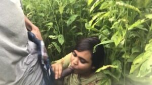 Desi Village Women Outdoor Dick Sucking And Sex Video